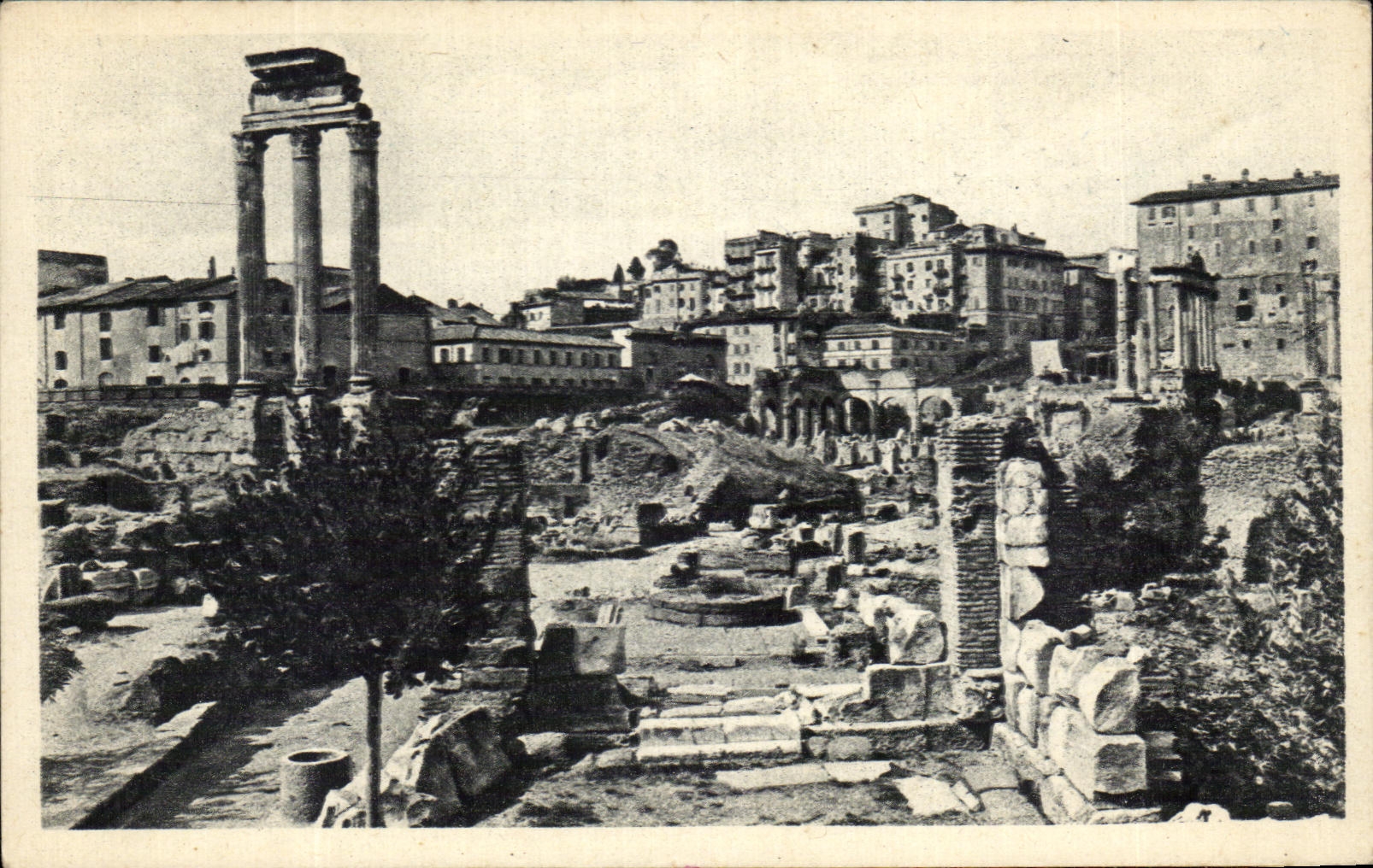 CPA Roma Foro Romano Con Templo Dl Castore E Polluce e La Basillca Giulia