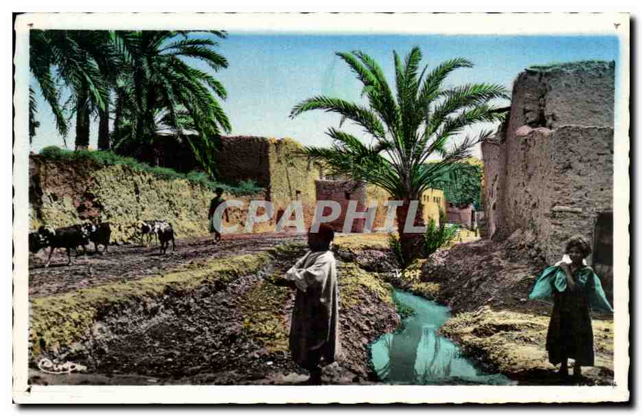 CPA Au Vieux Biskra algerie 