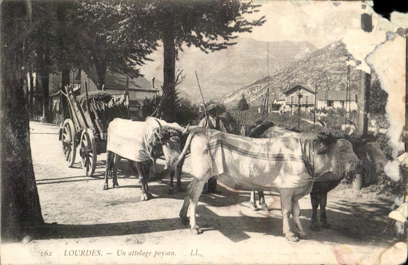 CPA Lourdes Un attelage Paysan Boeufs