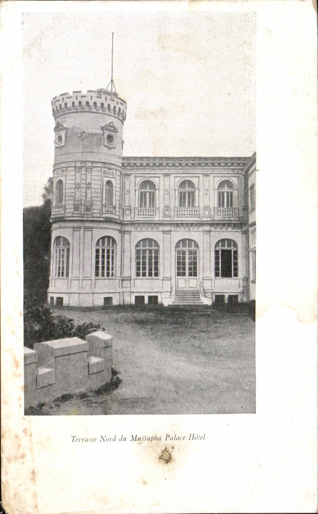 CPA Terrasse Nord du Mustapha Palace Hotel