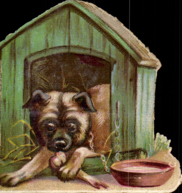 Chromo chien 