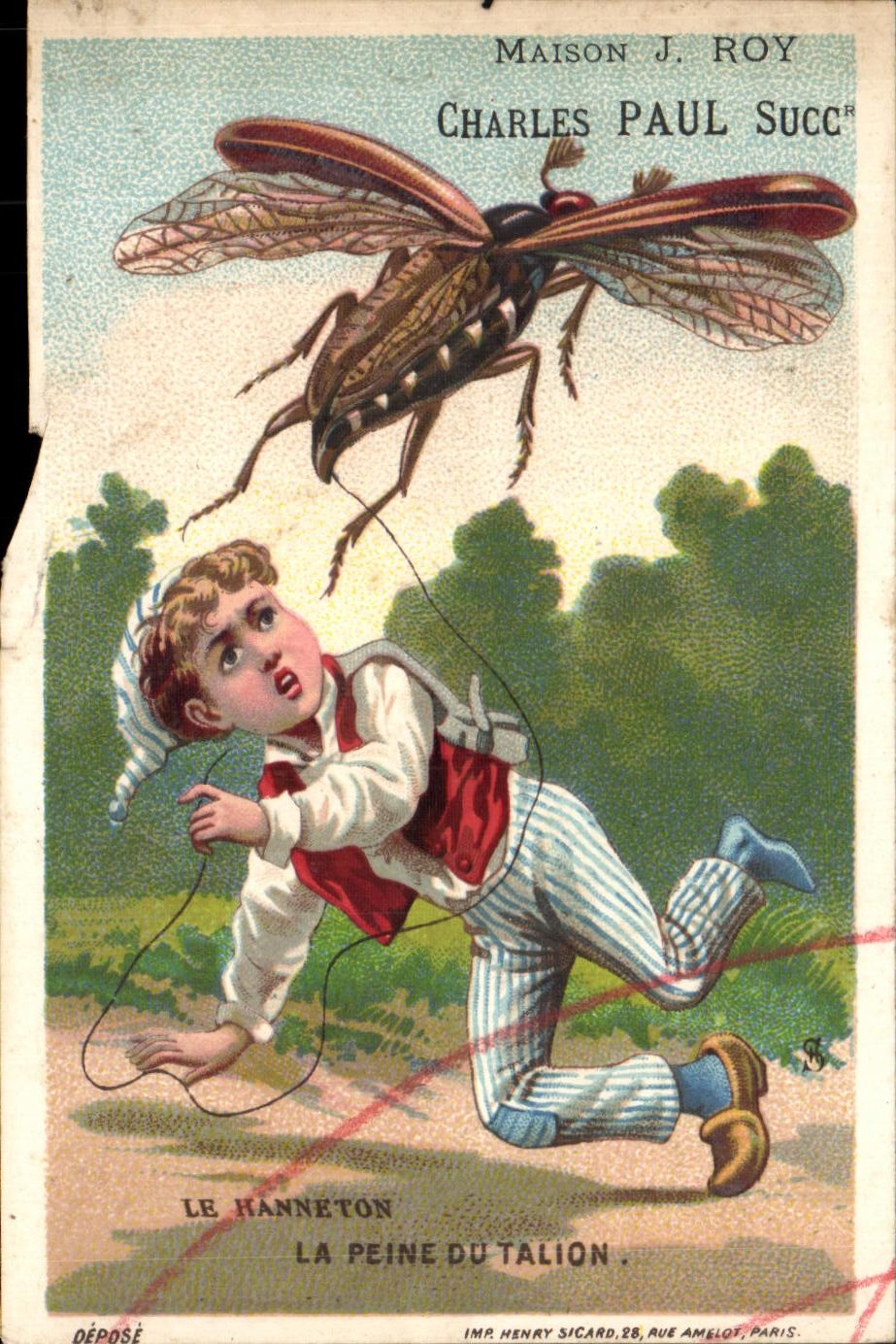 Chromo Charles Paul Rues du Palais Chaudrier le hanneton La peinte du talion Insecte