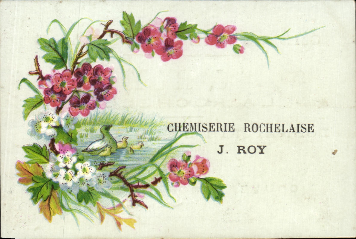 Chromo J Roy la Rochelle chemiserie