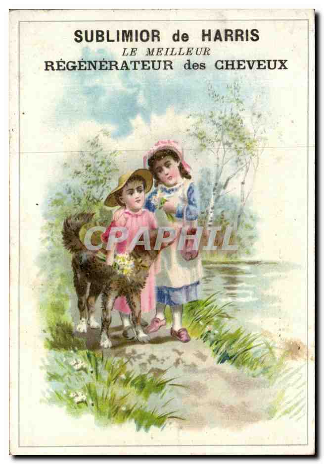 Chromo Sublimor de Harris Enfants et chien La Rochelle M Bireau Coiffeur Parfumeur Rue Chaudrier 
