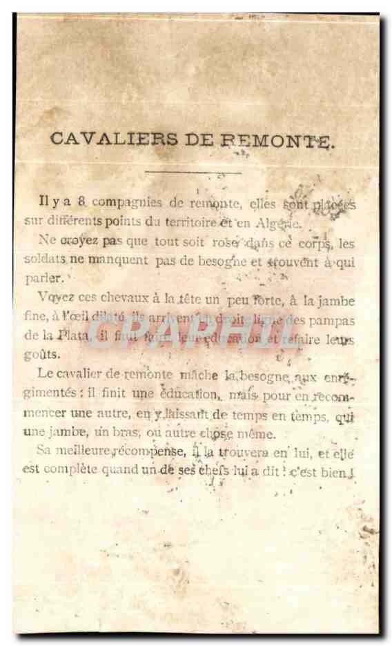 Chromo Cavalerie de Remonte Cheval Militaria — Rückseite
