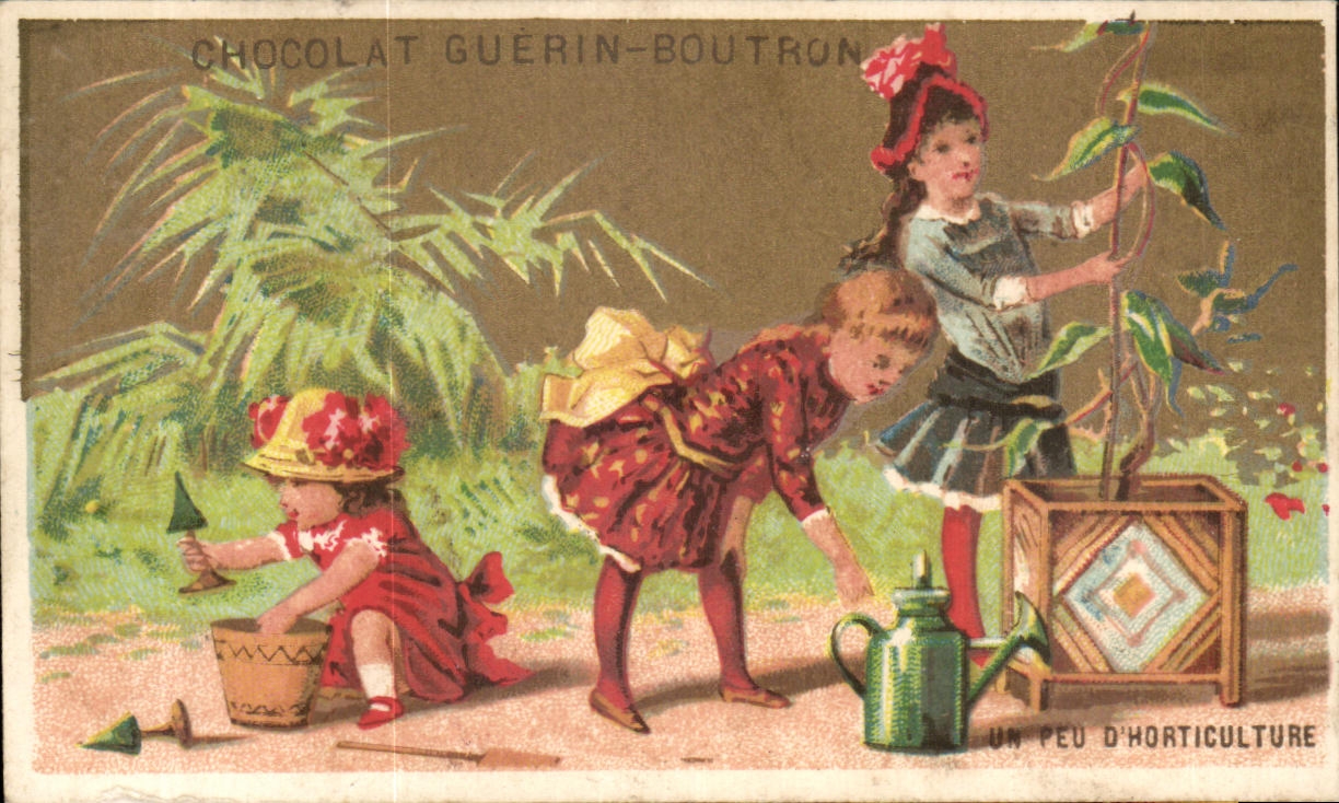 Chromo Guerin Boutron Paris Un peu d'horticulture