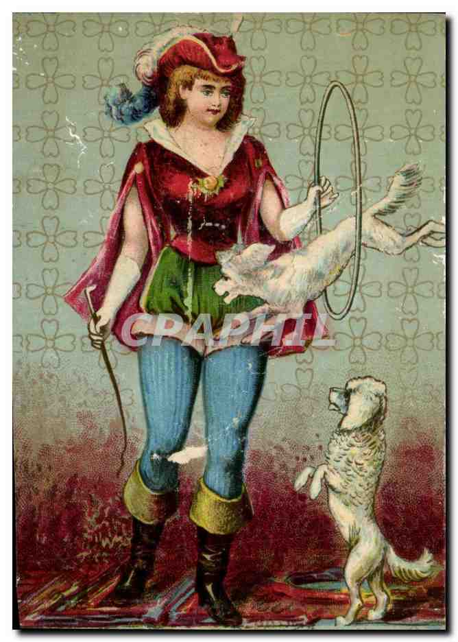 Chromo Paul Mairesse Cambrai Dresseur de chiens Caniches