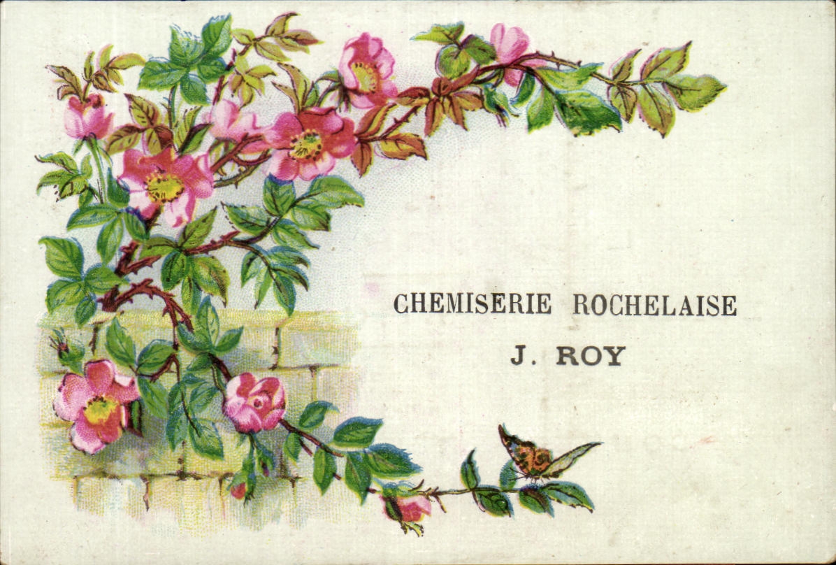 Chromo Chemiserie Rochelaise J Roy La rochelle Fleurs 