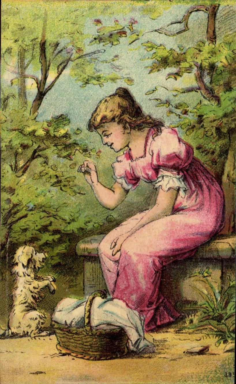 Fille en robe rose cueillant des feuilles — jardin — série 39 — éditeur non visible