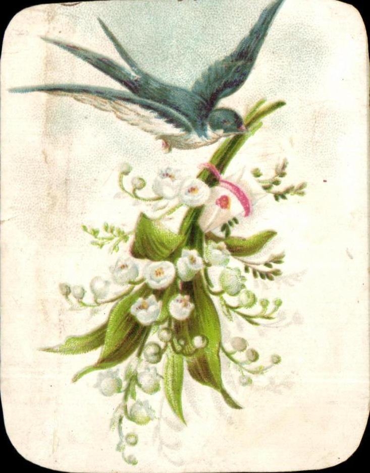 Chromo Fleurs Muguet Hirondelle 