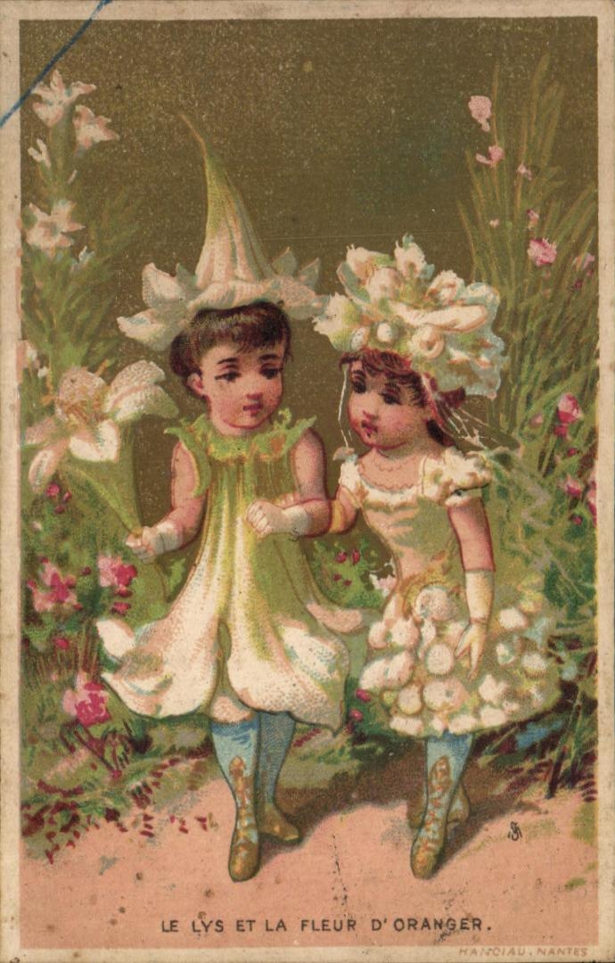 Chromo Enfants le lys et la fleur d'oranger Fleurs 