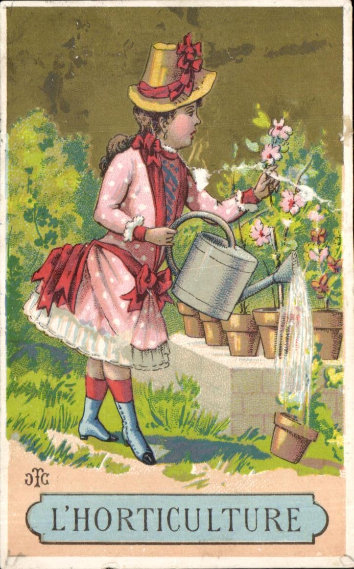 Chromo Emile Fouchereaux La Roche sur Yon Horticulture 