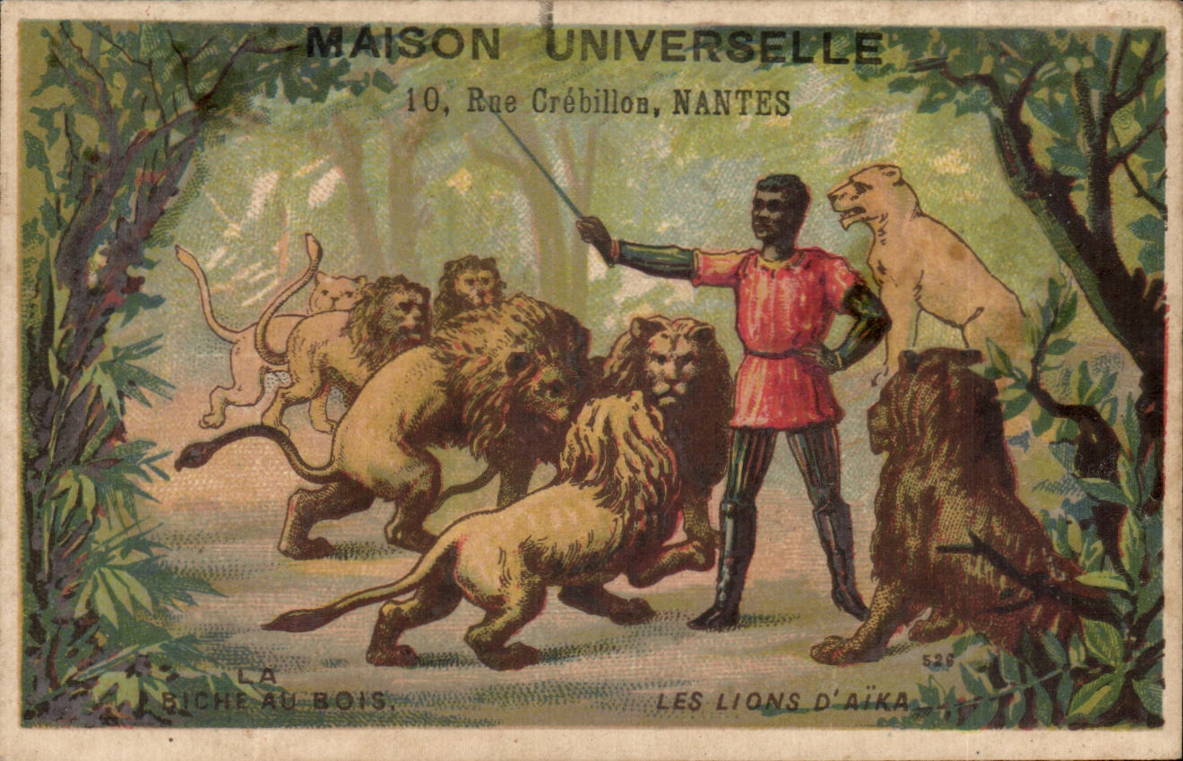Les Lions d'Aïka — Maison Universelle, 10 Rue Crébillon, Nantes
