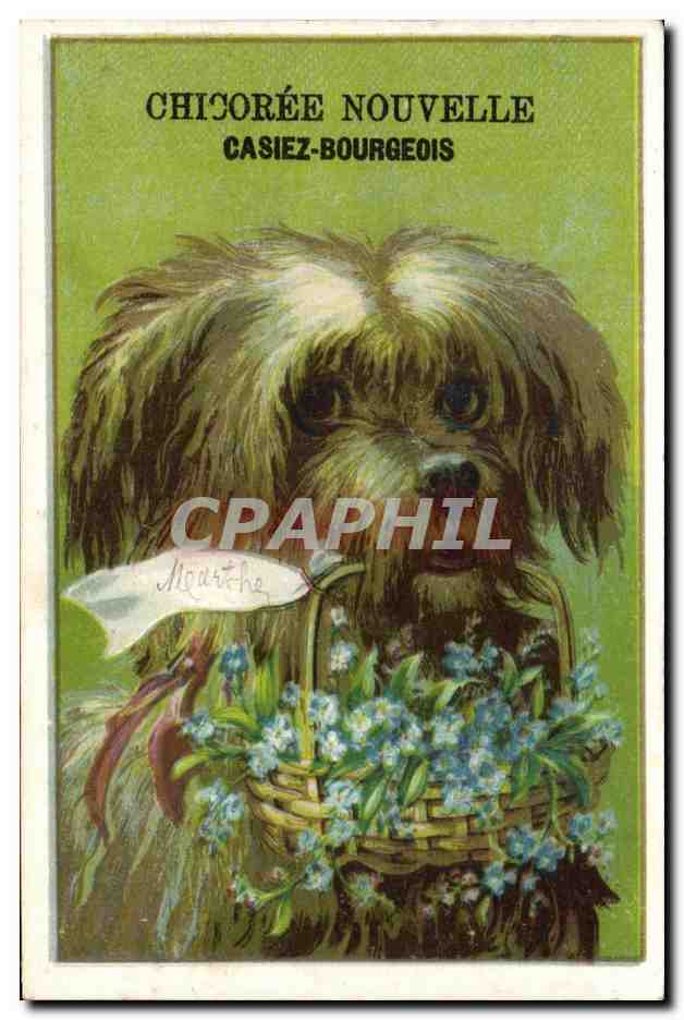 Chromo Chicoree Casiez Bourgeois Cambrai Chien 