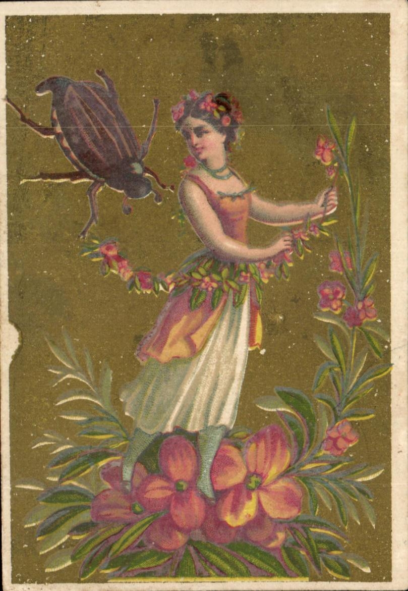 Chromo FEmme Insecte 