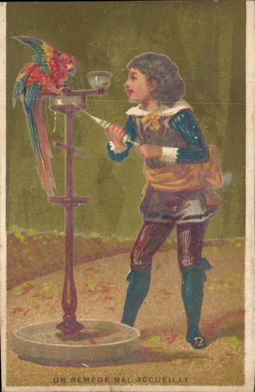Chromo Candeliez Sainte Olle Les Cambrai Un remede mal accueilli Perroquet 