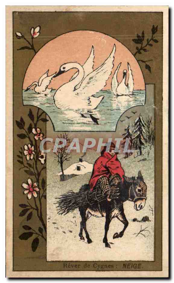 Chromo Rochefort sur Mer Rever de cygnes Neige 