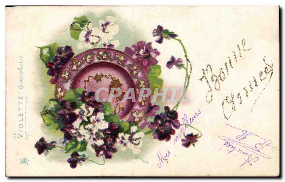 CPA Fantaisie Fleurs Violette 