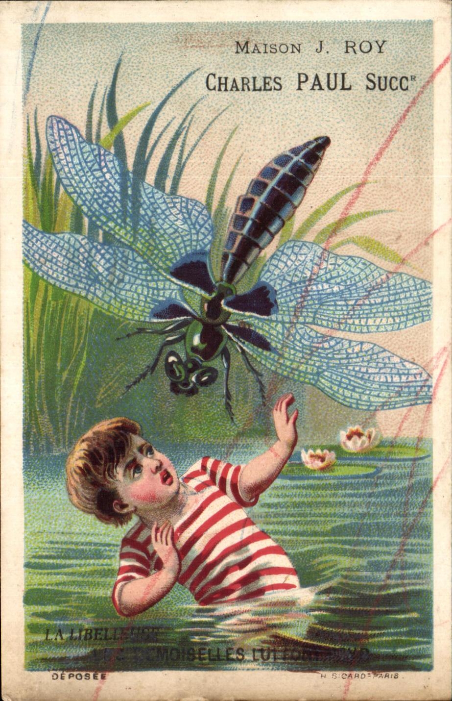 Chromo Charles Paul La Rochelle Libelleuse Enfant Insecte