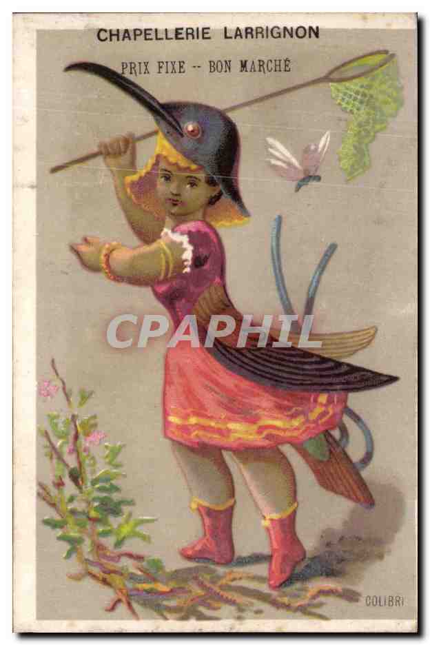 Chromo Larrignon La Rochelle Colibri 