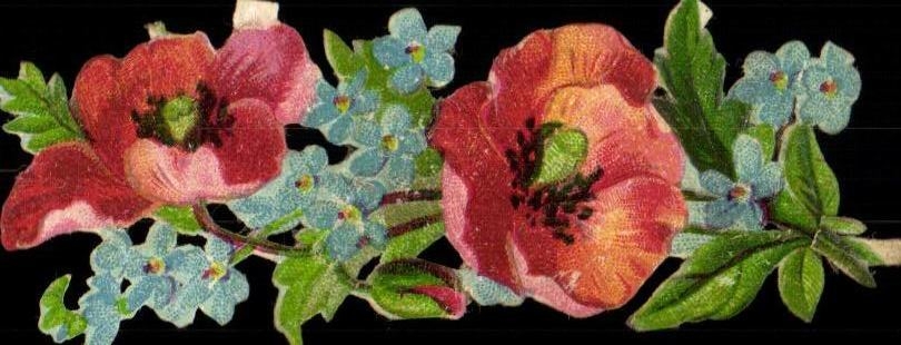 Chromo fleurs