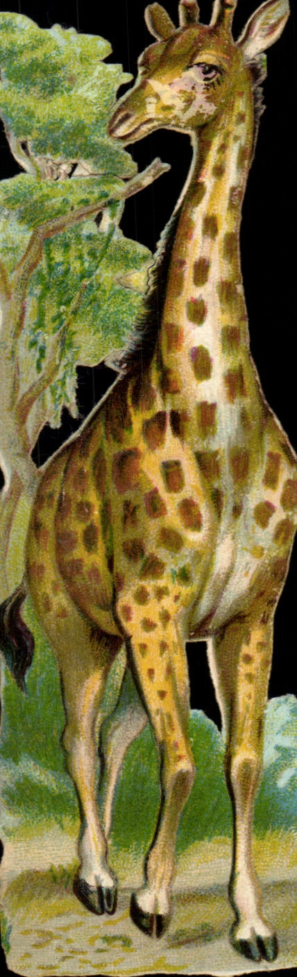 Chromo Giraffe