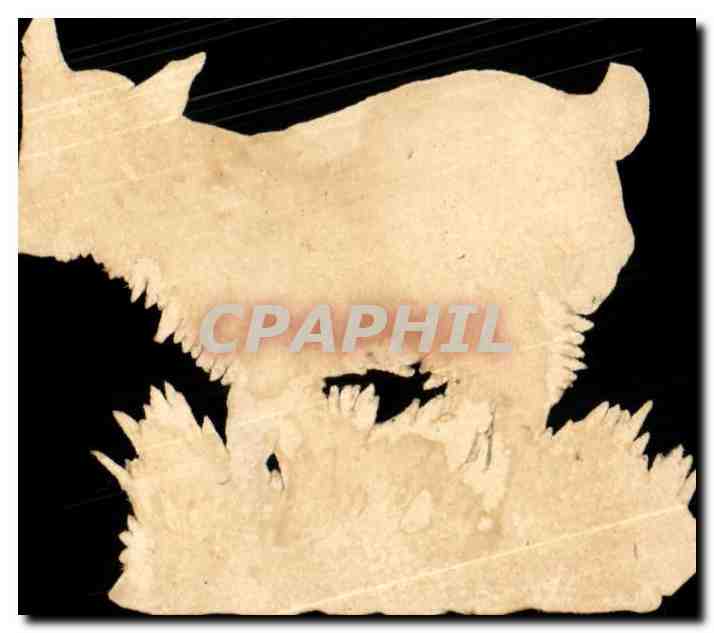 Chromo animal (agneau ?) — Verso