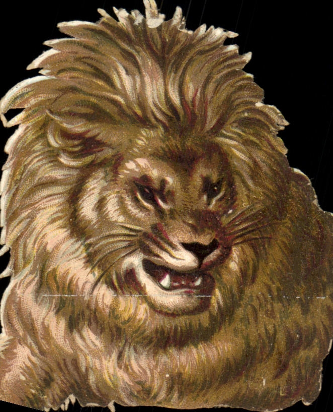 Chromo Lion