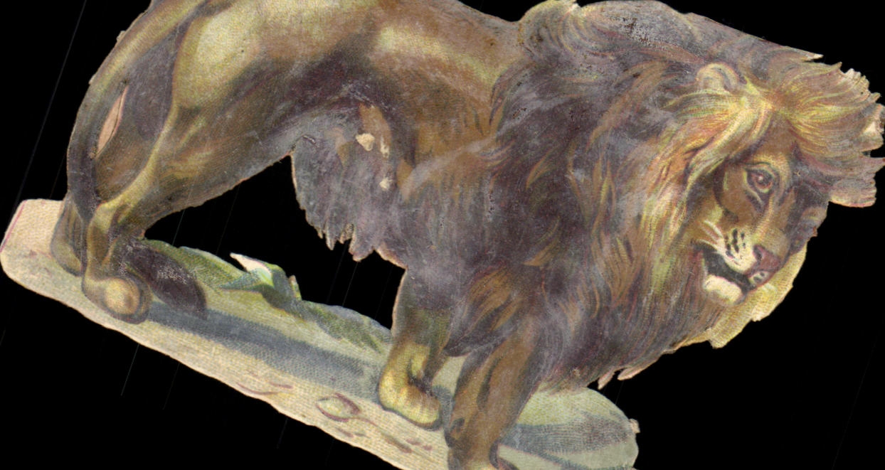 Chromo Lion Chocolat louit