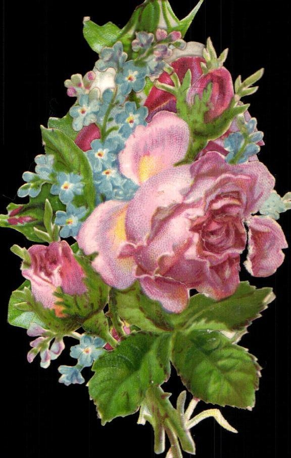 Chromo Fleurs