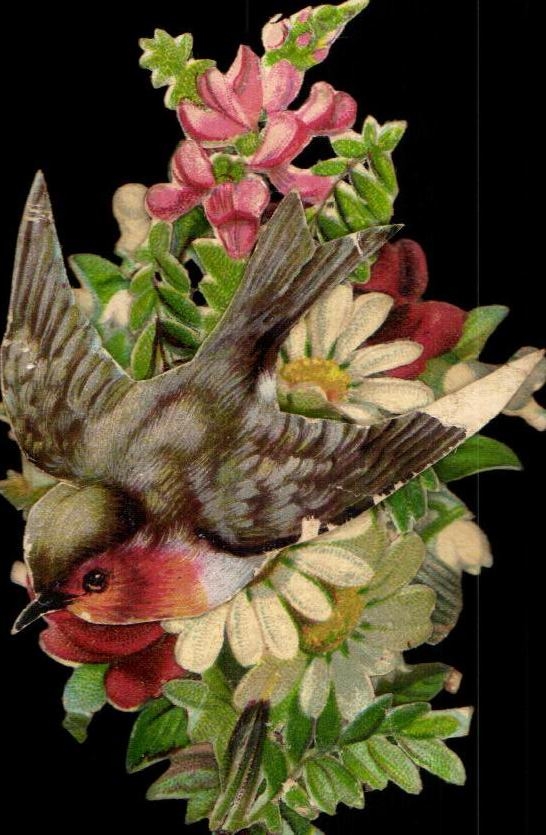 Chromo Fleurs Hirondelle