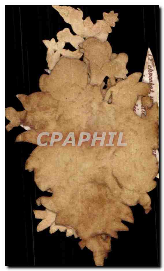 Chromo Fleurs Hirondelle — Verso