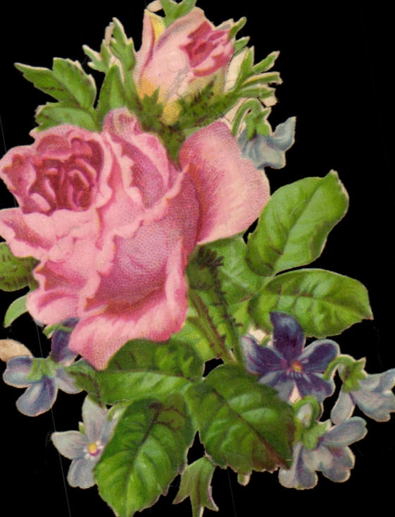 Chromo Fleurs