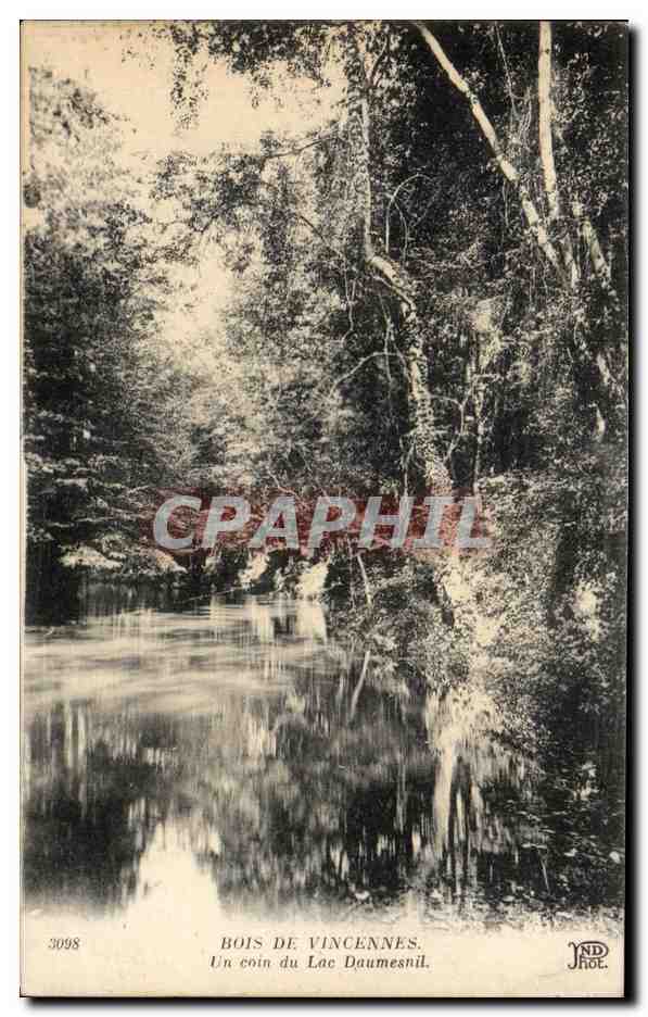 CPA Bois De Vincennes Un Coin du Lac Daumesnil