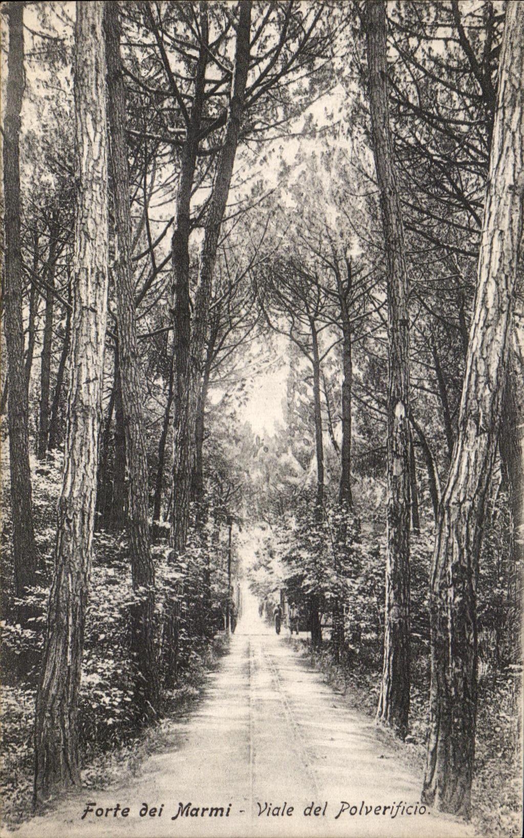 CPA Forte Dei Marmi Viale del Polverificio