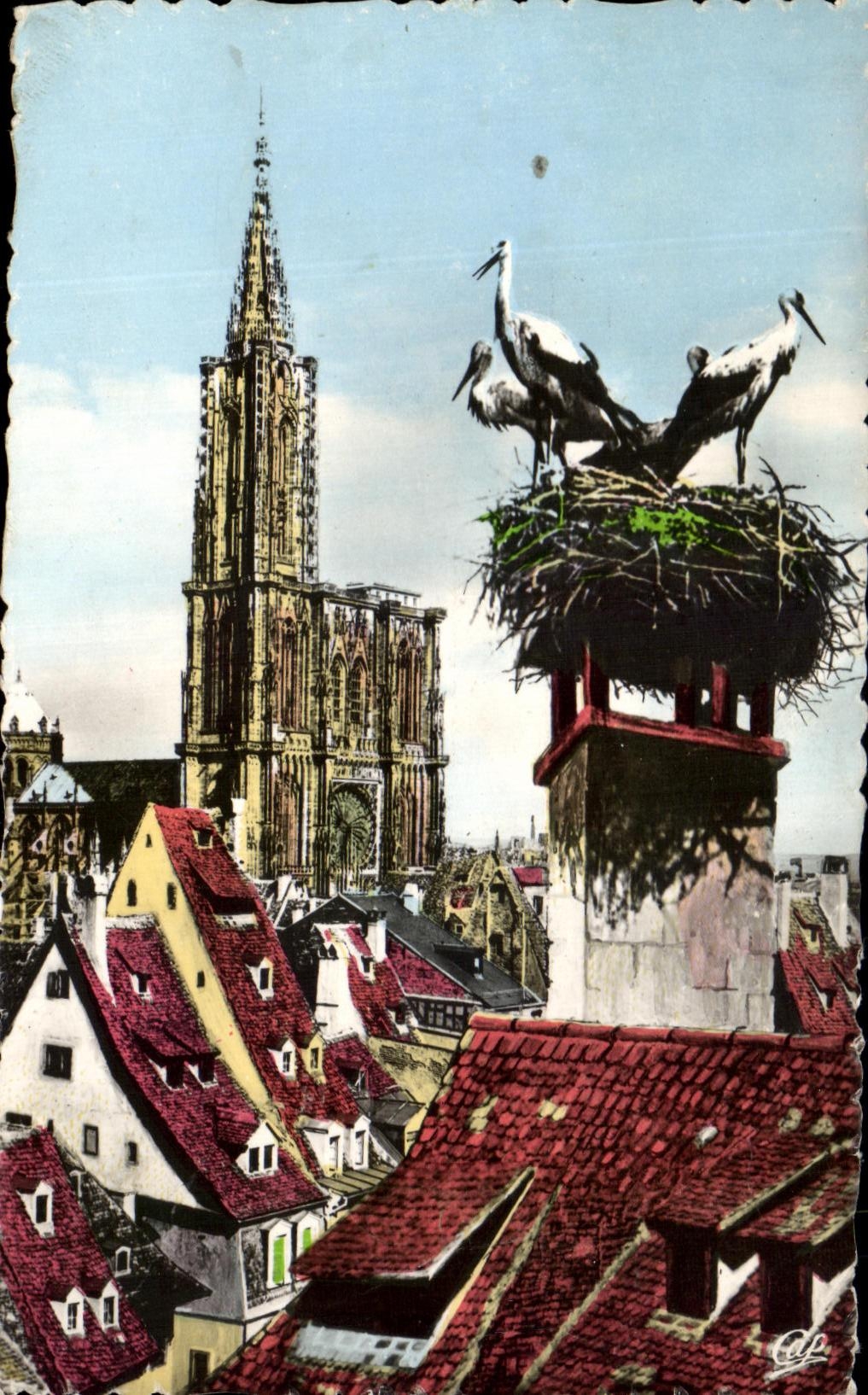 CPA Strasbourg La Cathedrale Et Les Cigognes