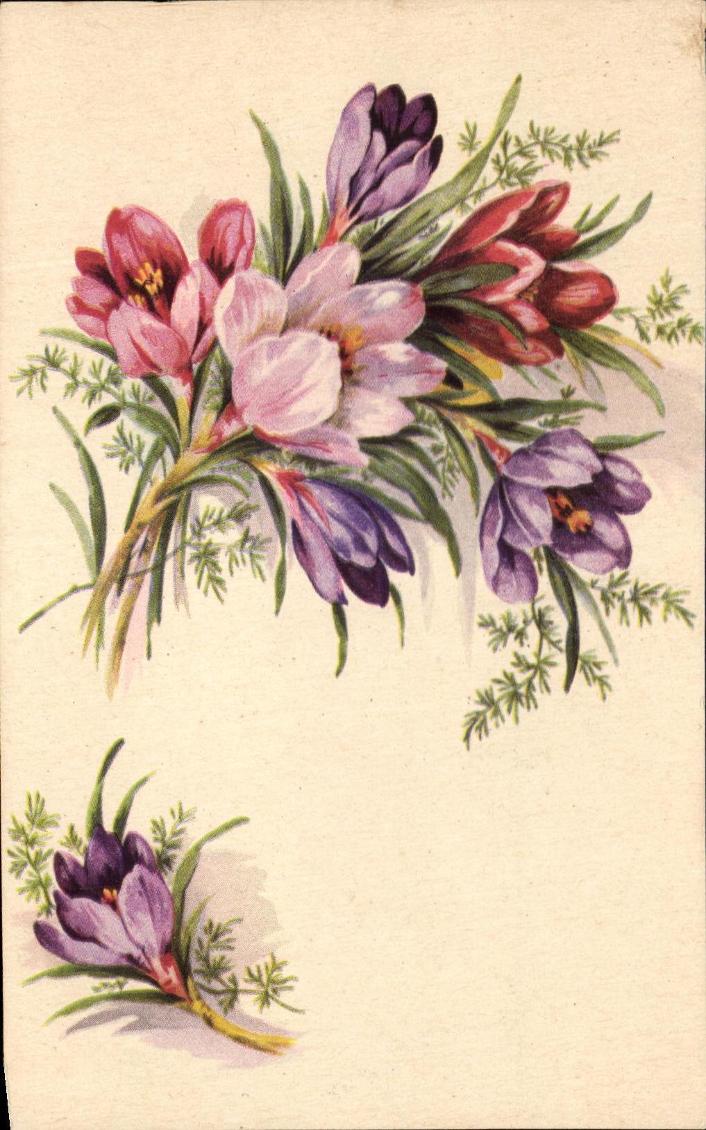CPA Fleurs