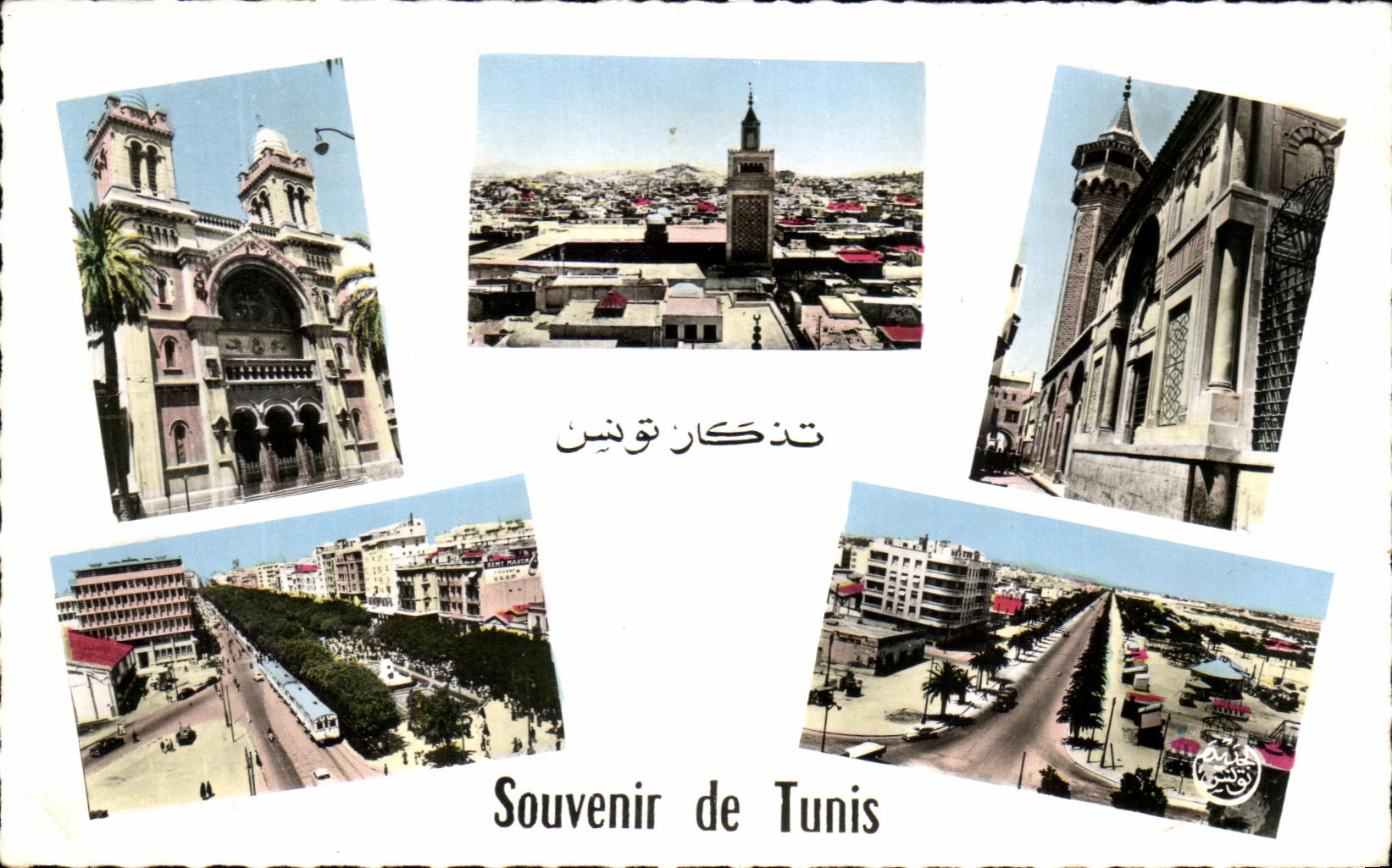 CPA Souvenir de Tunis Le Cathedrale Vue Generale Mosquee Tunisie