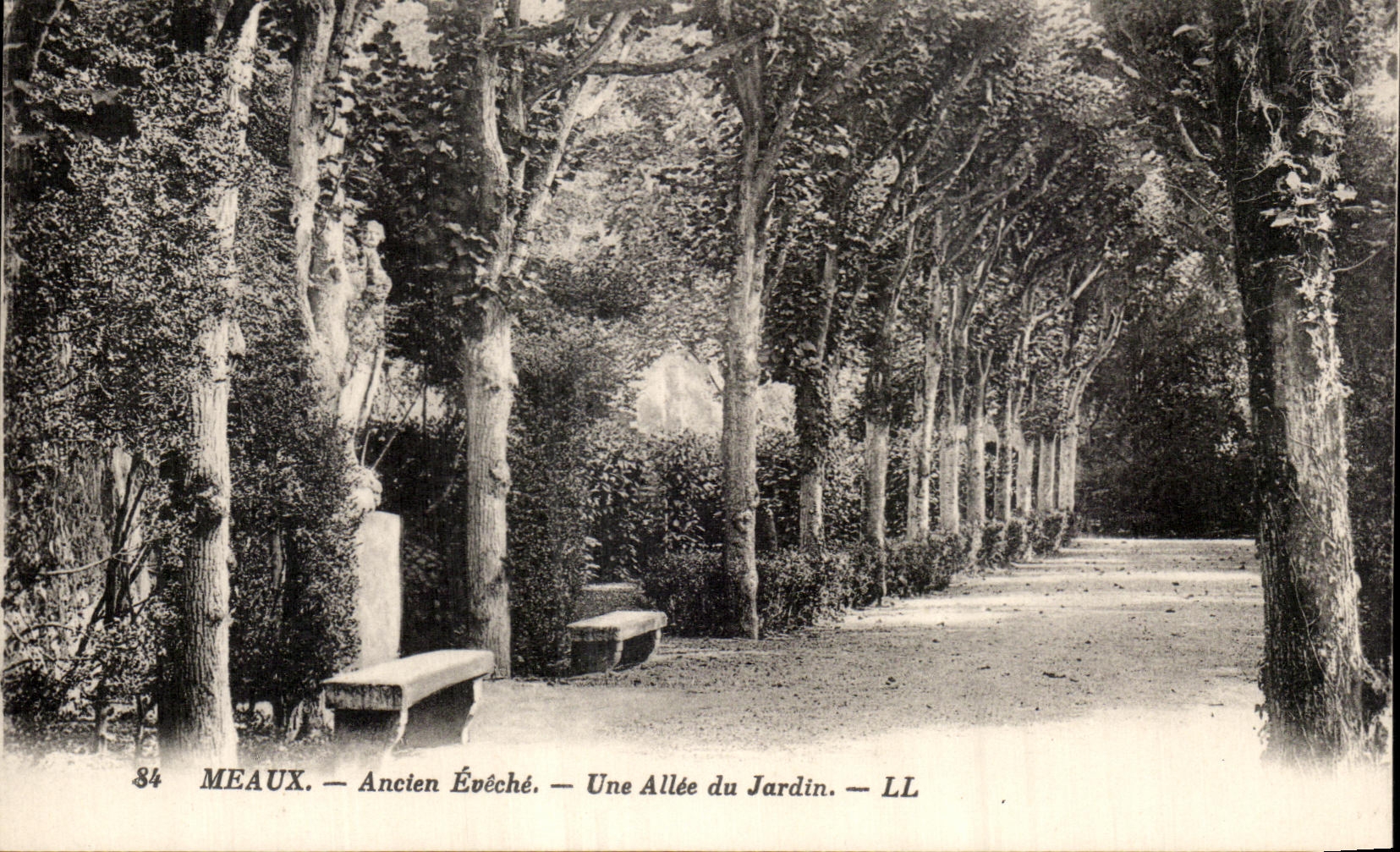 Meaux — Ancien Évêché — Une Allée du Jardin — LL
