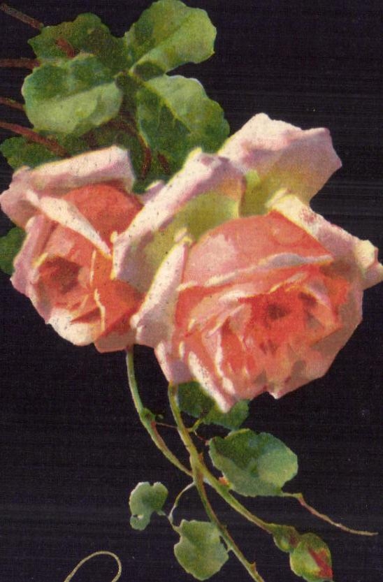 CPA Bonne Annee Fleurs
