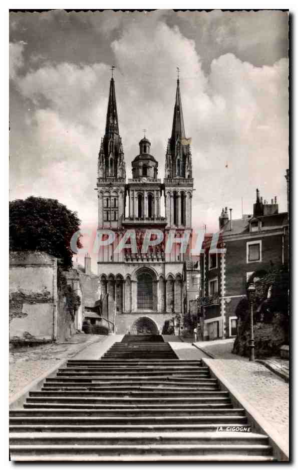 CPA Angers La Cathedrale Saint Maurice