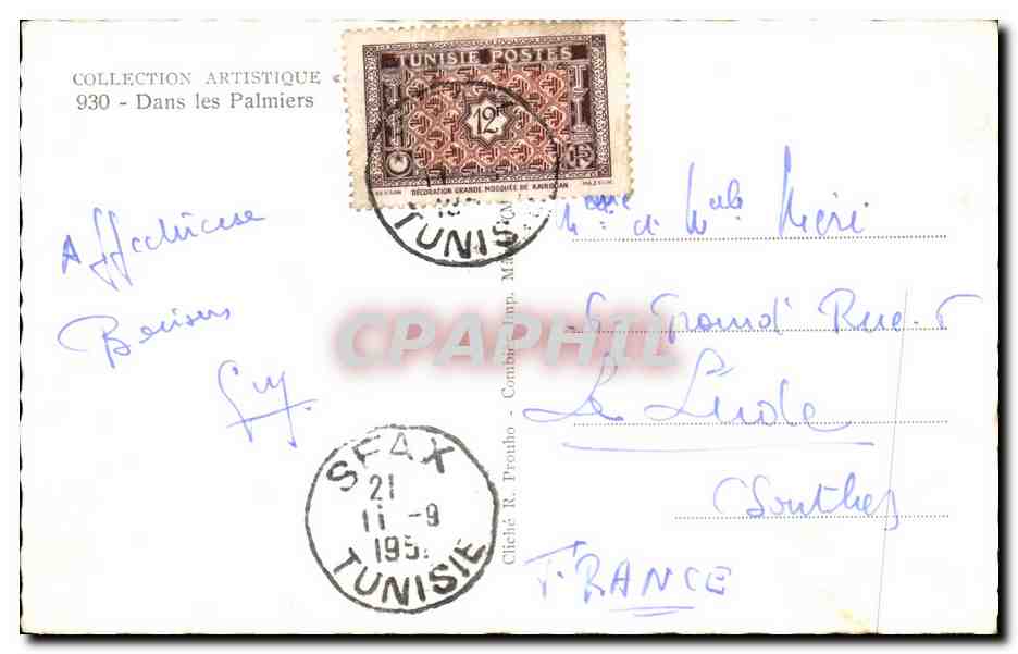 CPA Dans Les Palmiers Tunisie Chameaux  — Verso