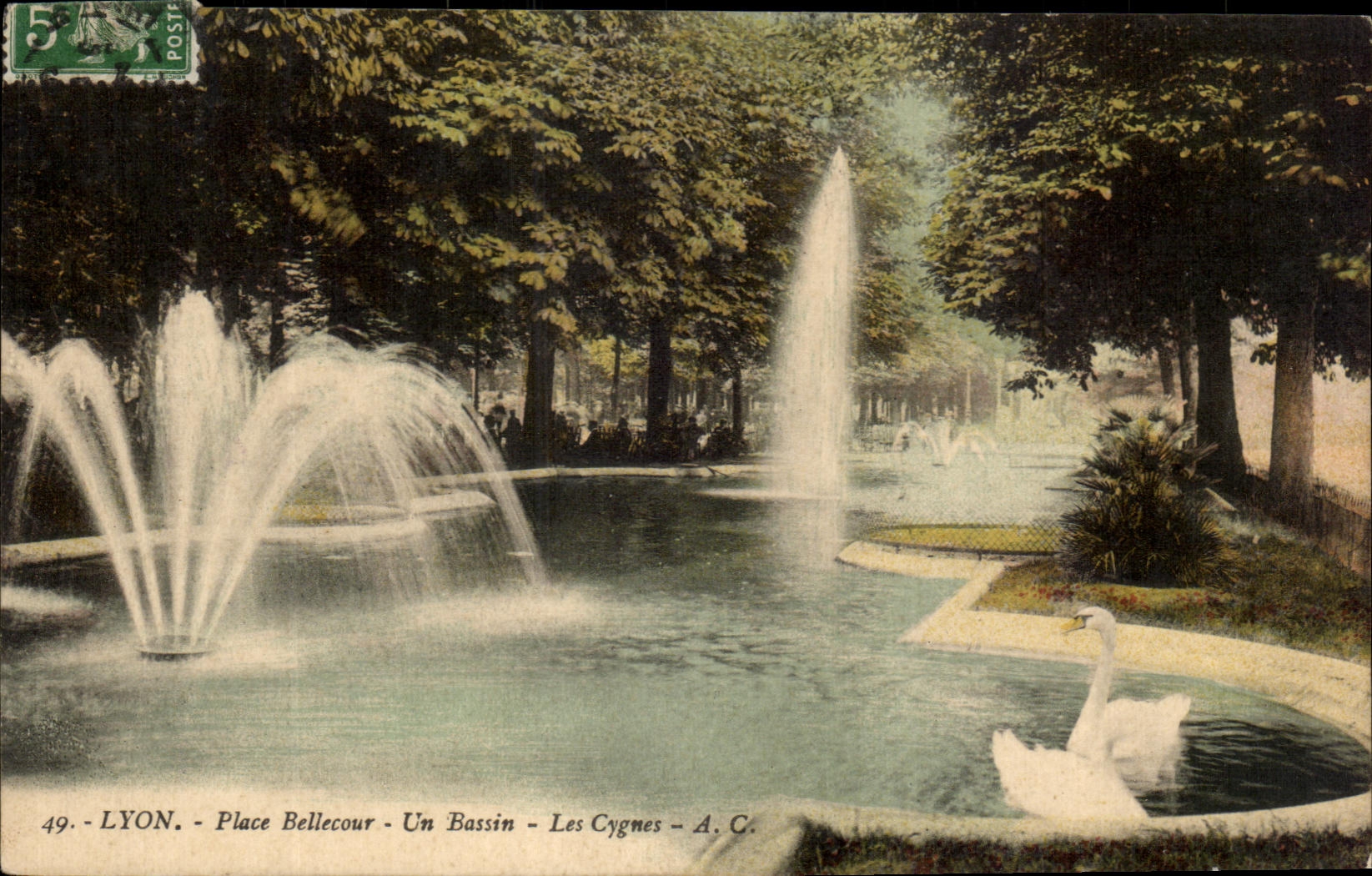 LYON - Place Bellecour - Un Bassin - Les Cygnes - A.C. - n°49