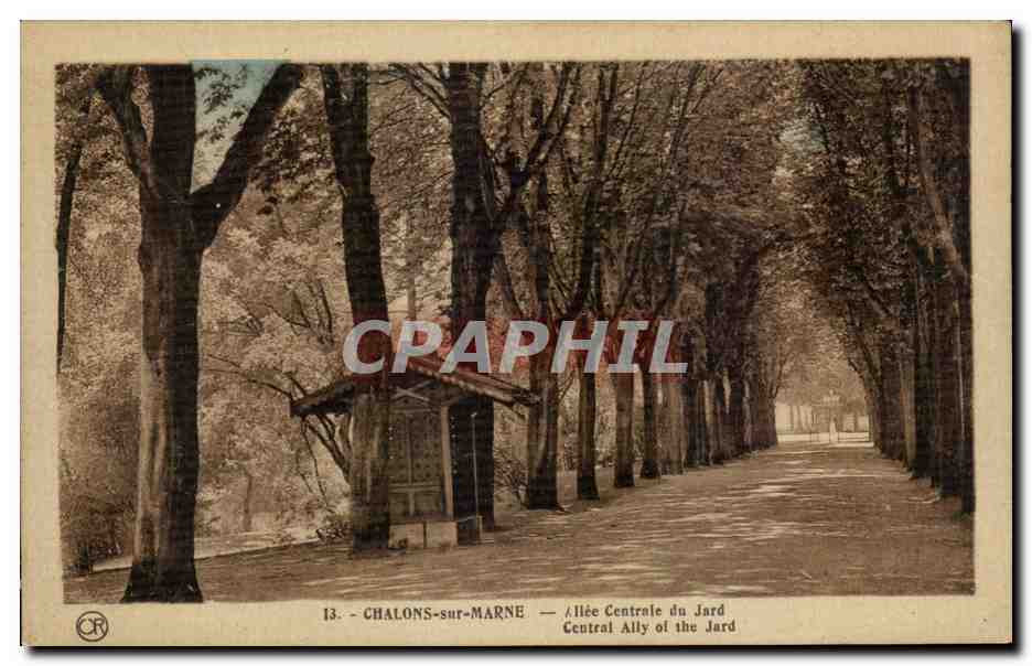 CPA Chalons Sur Marne Allee Centrale du Jard 