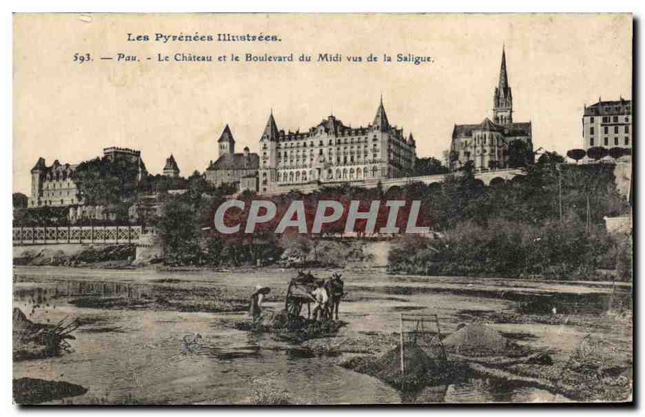CPA Pau Le Chateau et Le Boulevard du Midi Vue de la Saligue