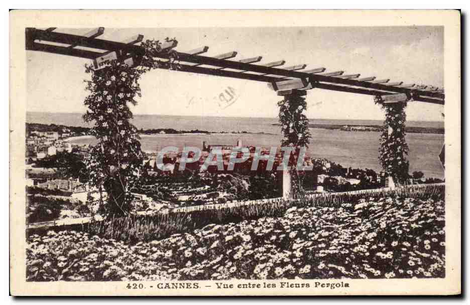 CPA Cannes Vue entre les Fleurs Pergola