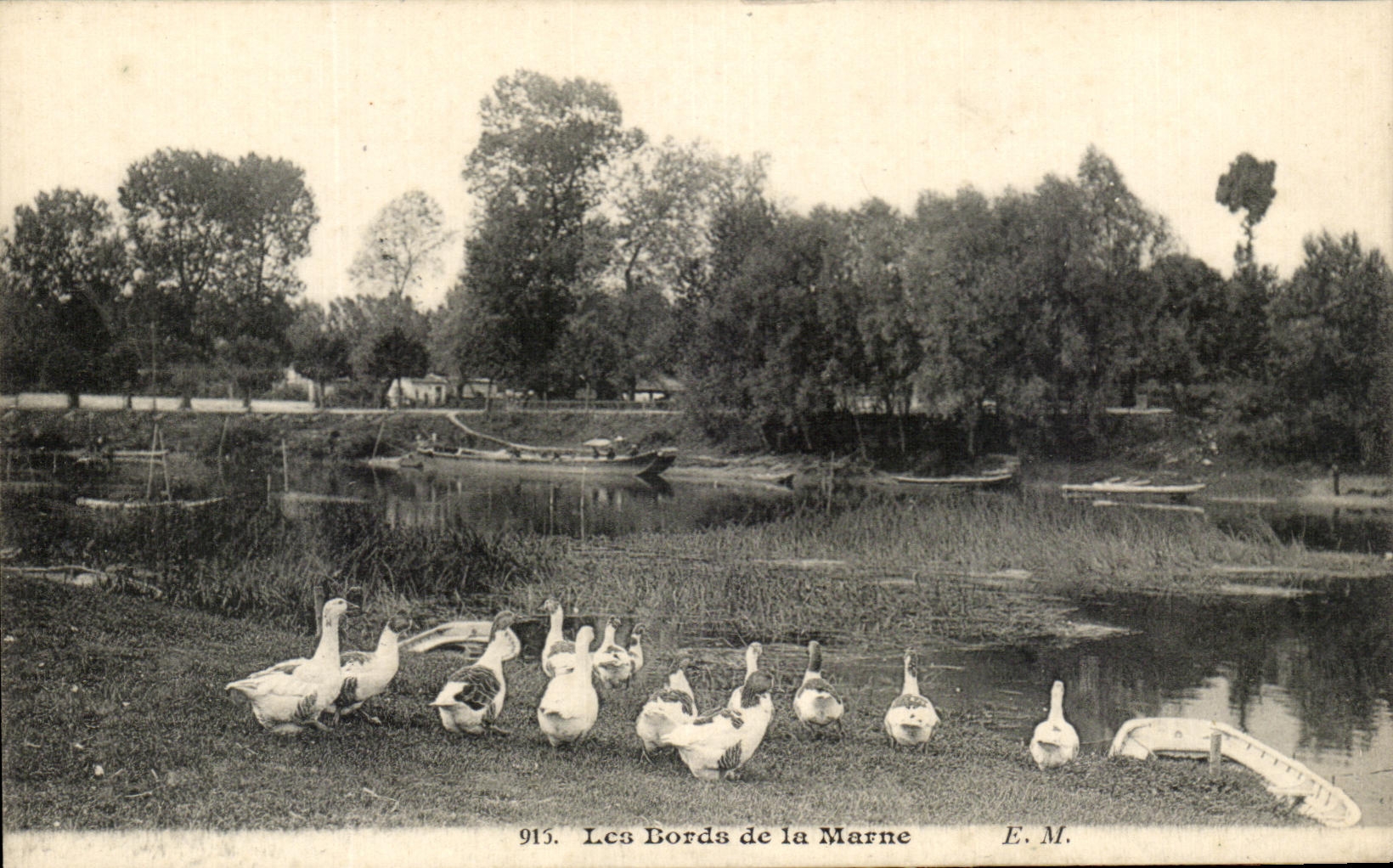 CPA Les Bords De La Marne Oies d'elevage 
