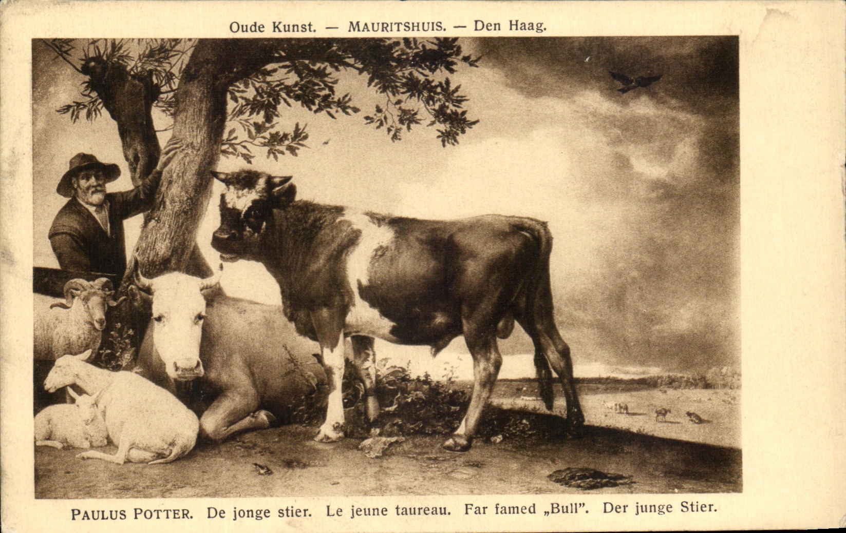 CPA Paulus Potter De Jonge Le Jeune Taureau Vache Mouton 
