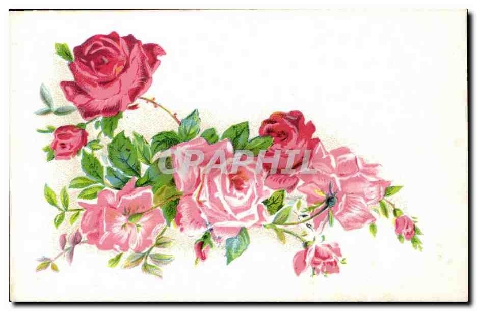 CPA Fantaisie Fleurs Roses