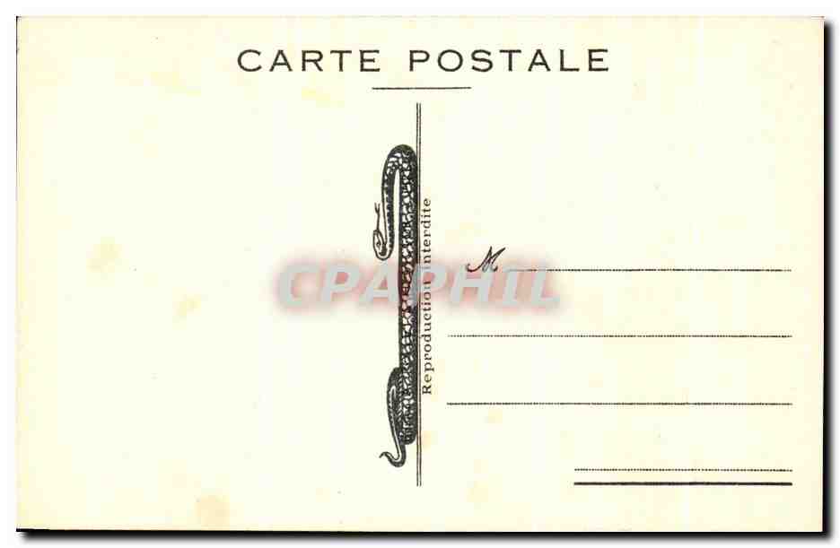 CPA Fantaisie Fleurs Roses — Verso